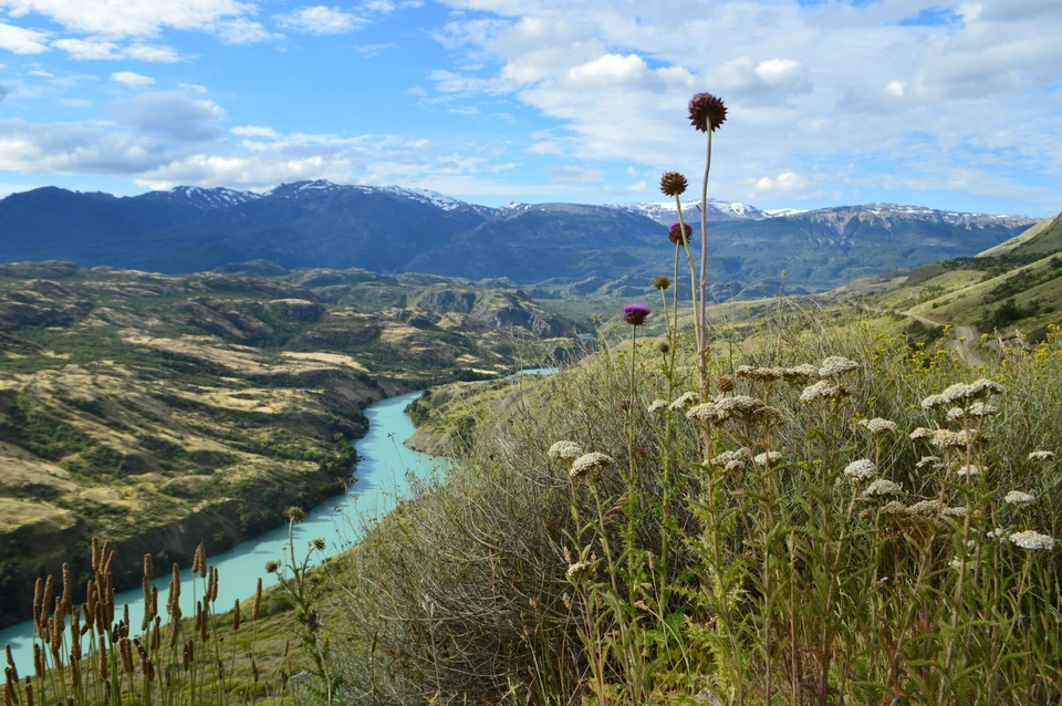 View of the Baker River among mountains and vegetation